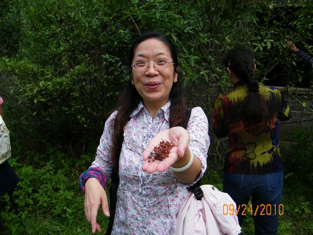 100_0461.jpg
