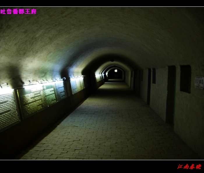 neo_img_dscn4260.jpg