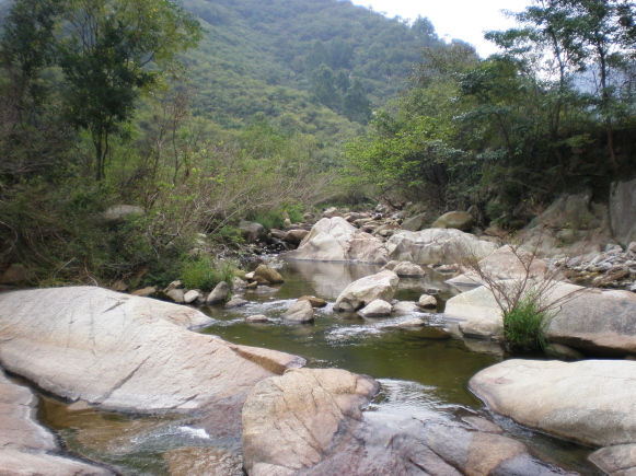 20100924_37.jpg