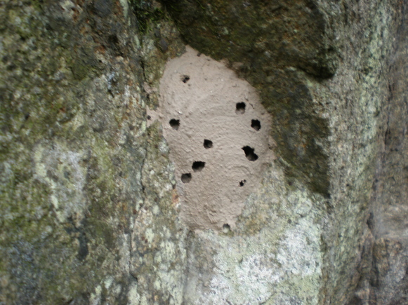 20100924_61.jpg