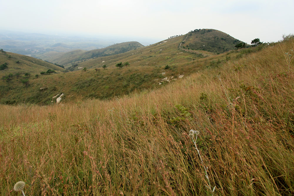 img_6186.jpg