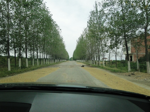 dsc04800.jpg