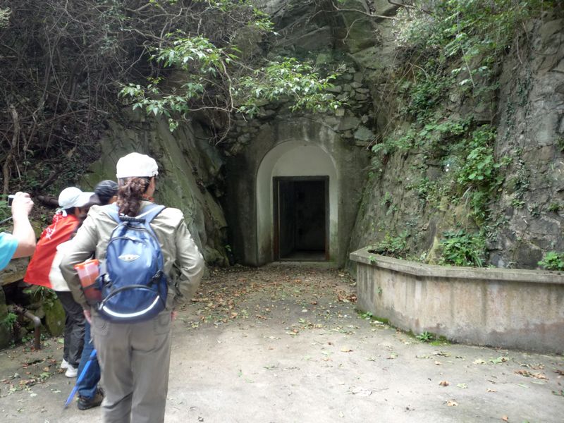 p1040010.jpg