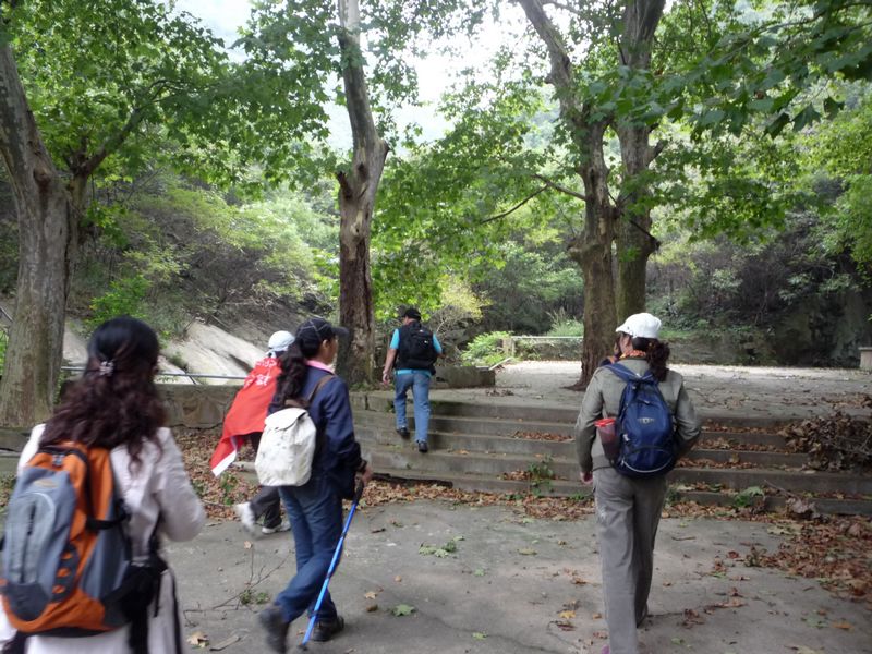 p1040010.jpg