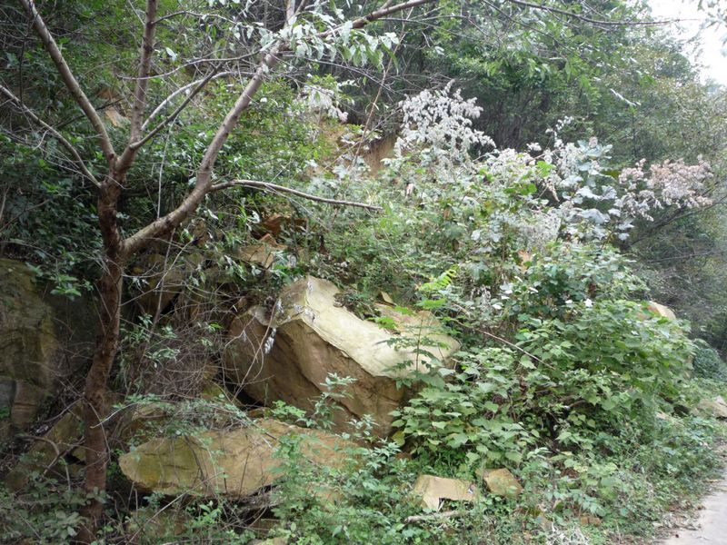 p1040010.jpg