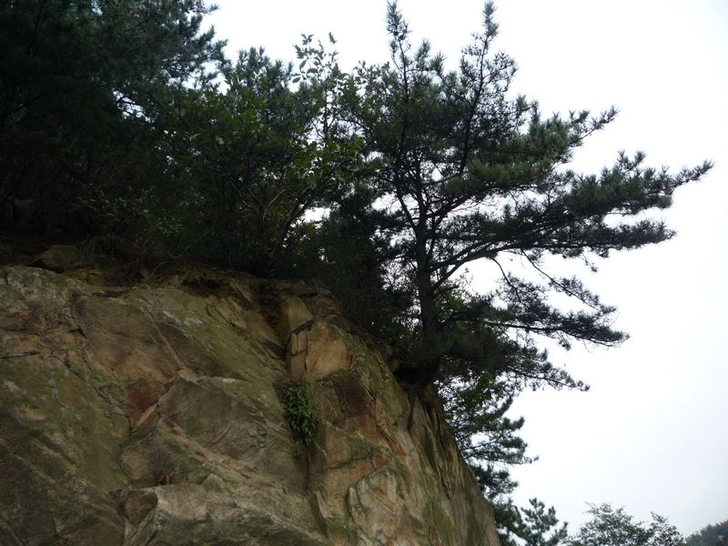 p1040010.jpg