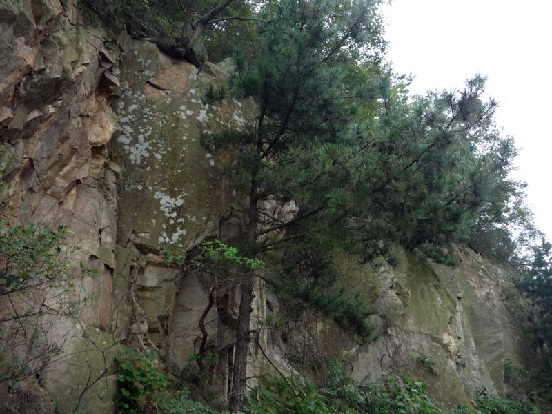 p1040010.jpg