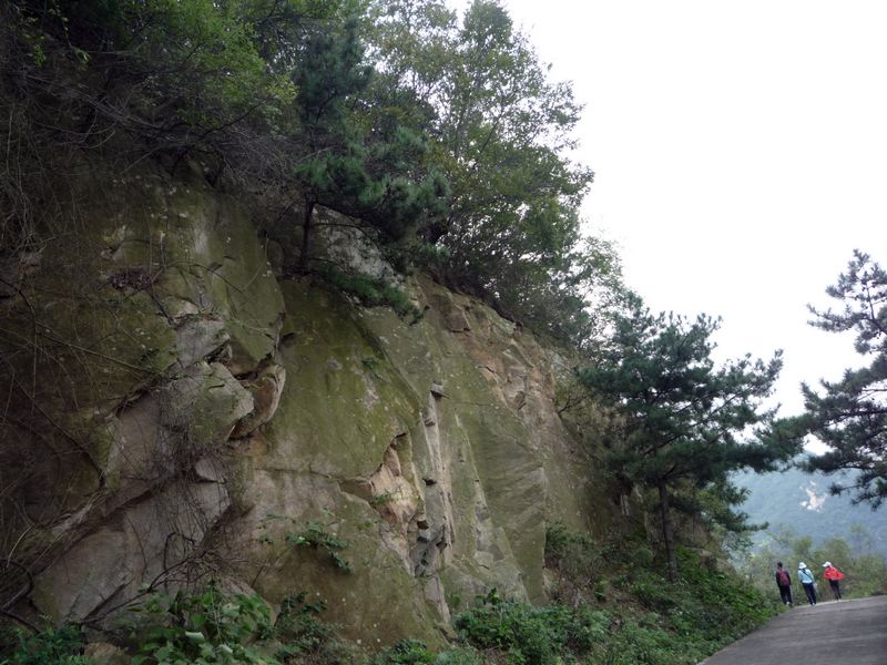 p1040010.jpg