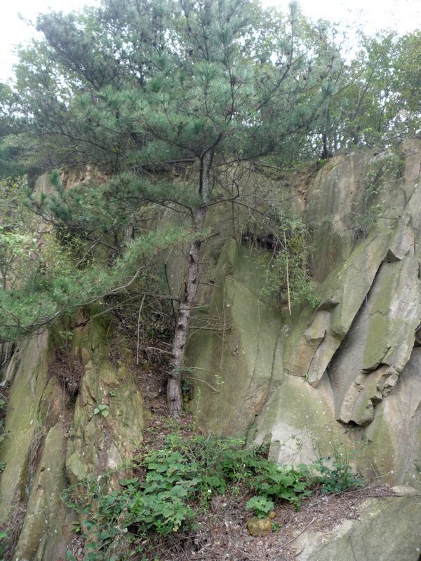 p1040010.jpg