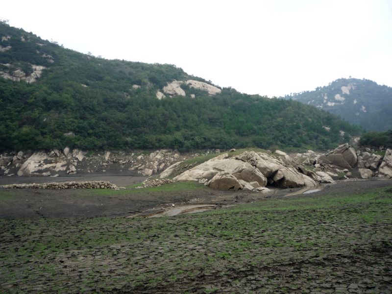 p1040010.jpg