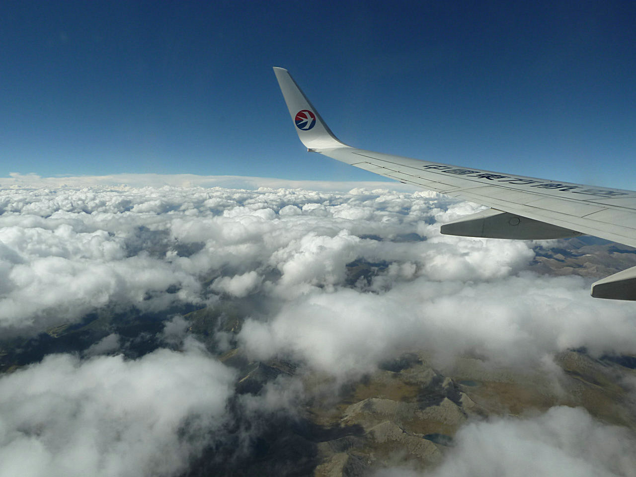 p1010560.jpg