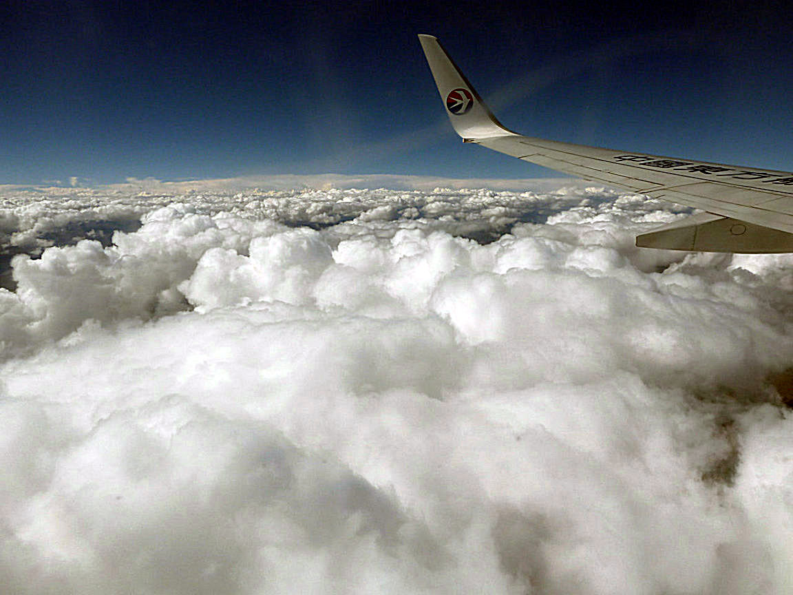 p1010559.jpg