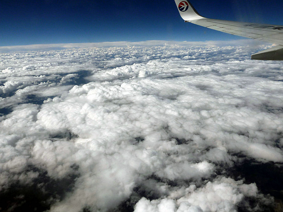 p1010567.jpg