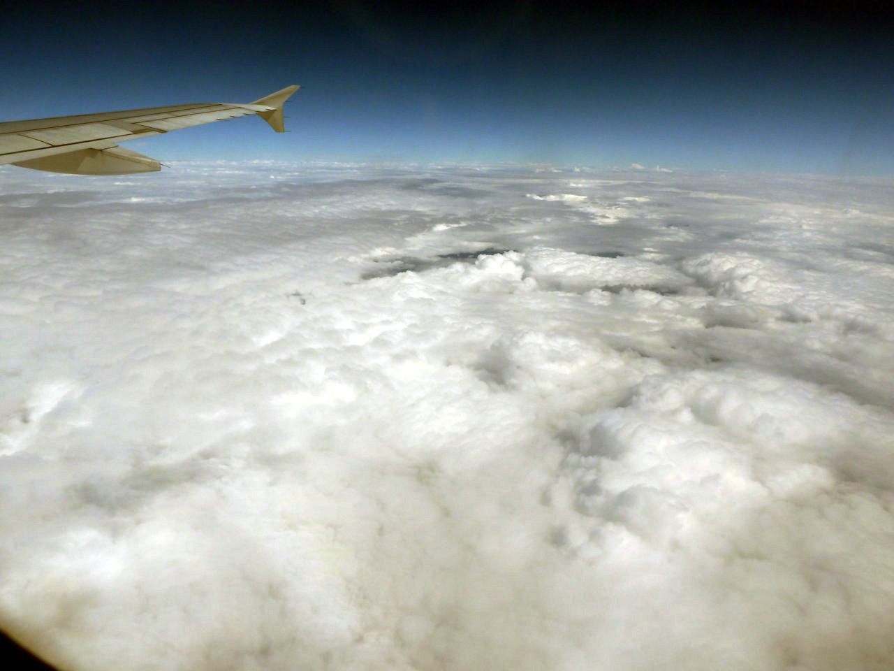  (2) p1000883.jpg