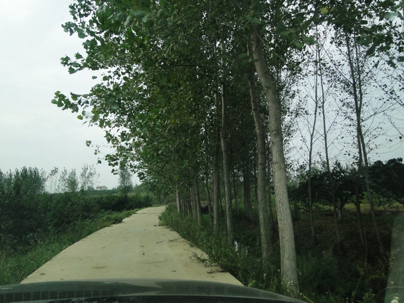 dsc04829.jpg