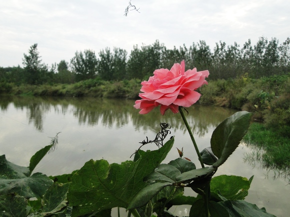 dsc04844.jpg