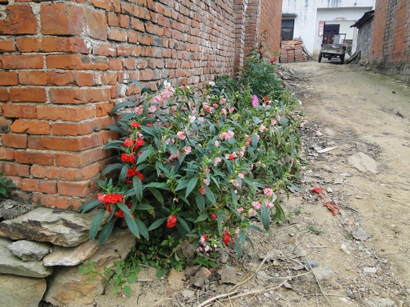 dsc04840.jpg