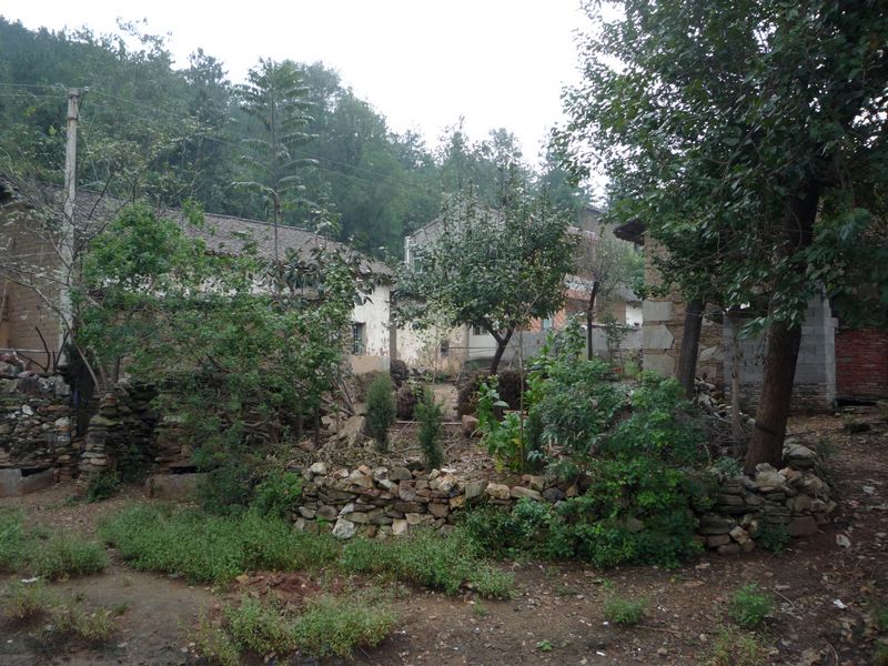 p1040010.jpg