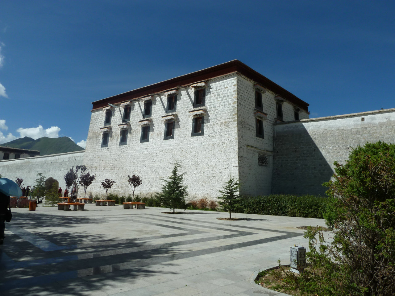 p1010009.jpg