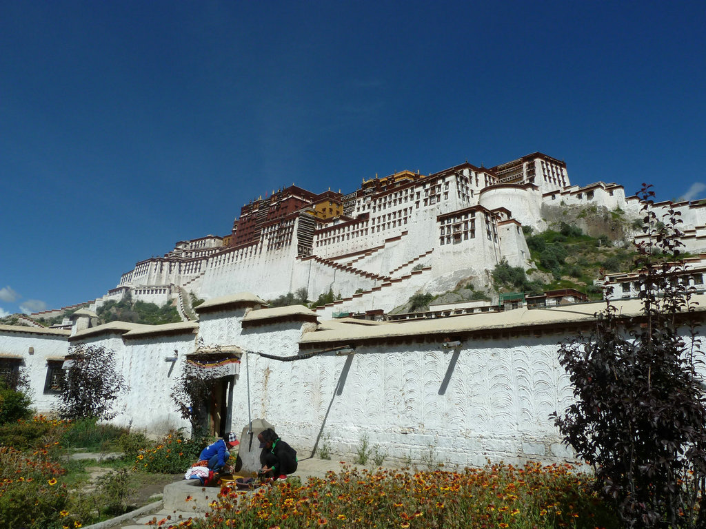p1010012.jpg