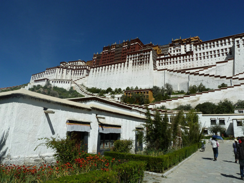 p1010015.jpg