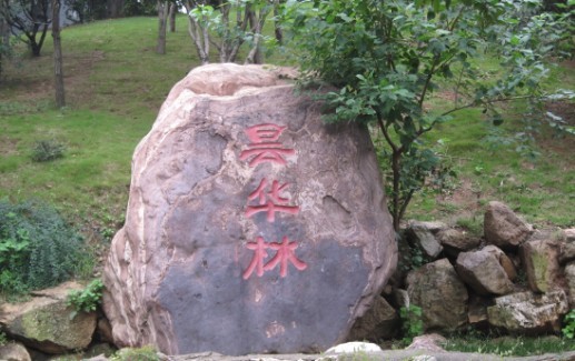 05.jpg