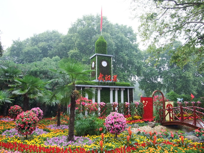 dscf7311-1.jpg