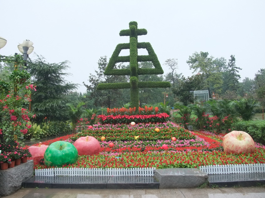 dscf7328-1.jpg