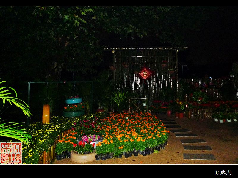 l1150143.jpg