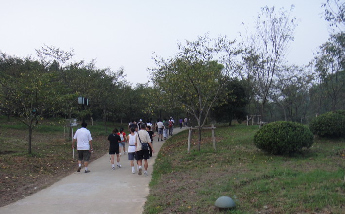 dsc01403.jpg