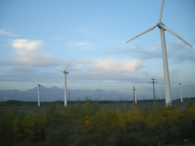 dscn4739.jpg