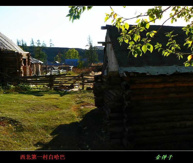 p1250768.jpg