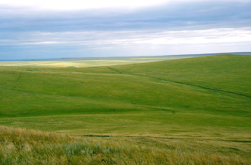 dxh_3947.jpg