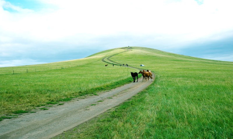 dxh_3987.jpg