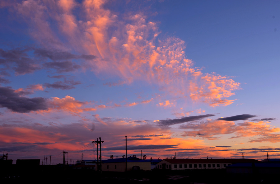 dxh_4339.jpg