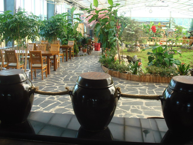 dsc01544.jpg