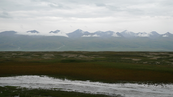 yp1060276.jpg