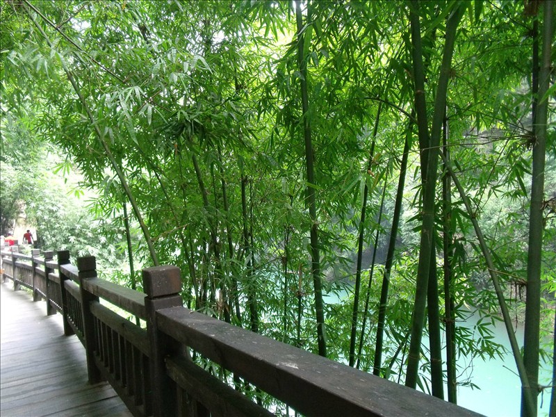 Ϫ2010.08.31 084.jpg
