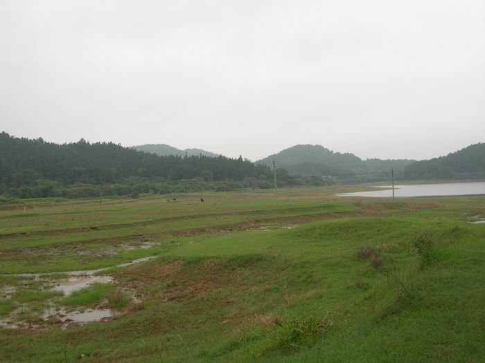 dscn9640.jpg