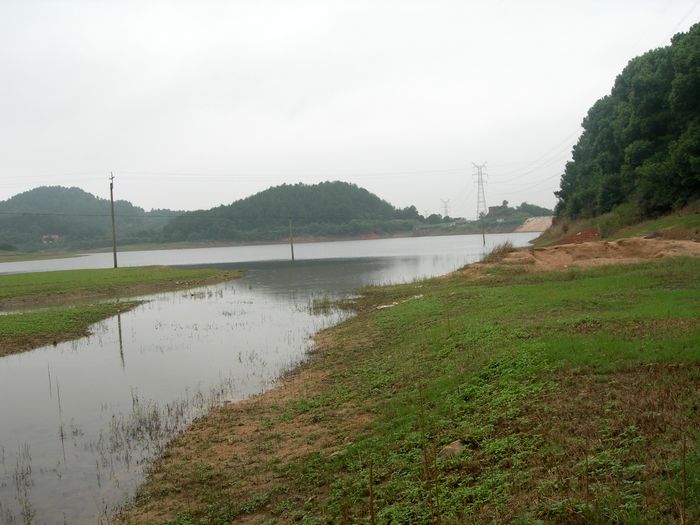 dscn9647.jpg
