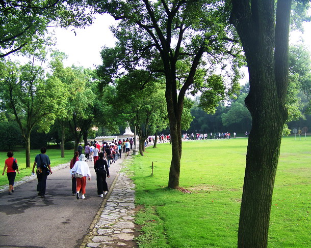 100_2401.jpg