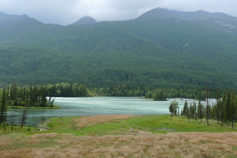 yp1050850.jpg