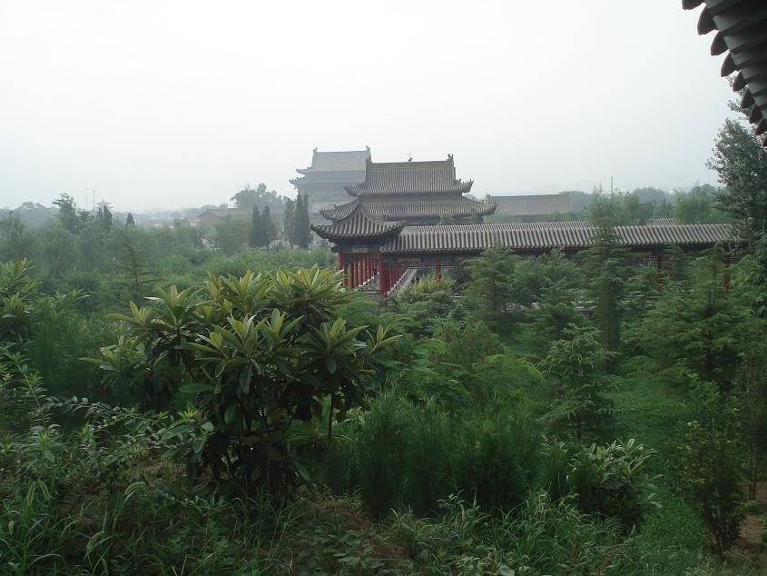 dsc01563.jpg