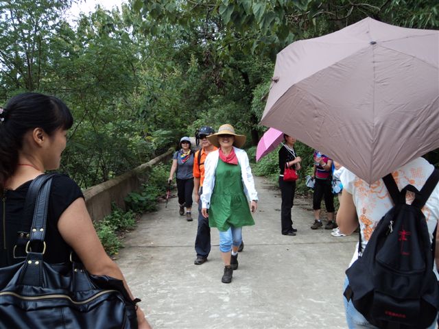 dsc03560.jpg