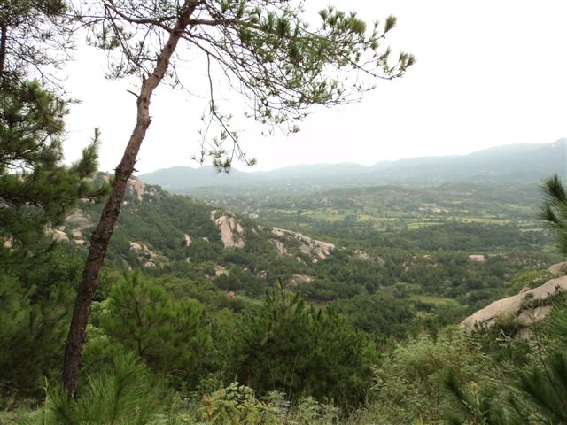 dsc03562.jpg