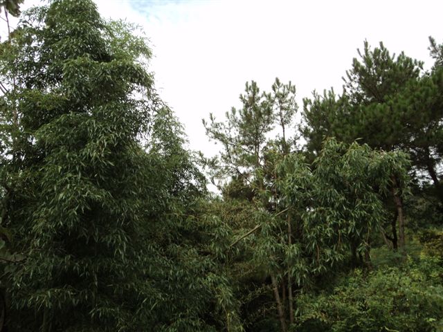 dsc03561.jpg