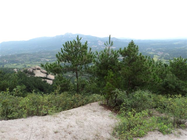 dsc03566.jpg