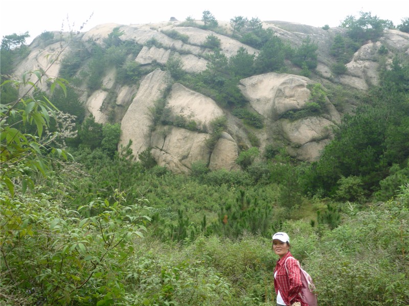 p1020246_.jpg