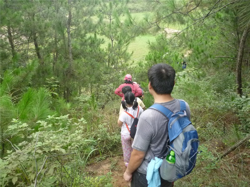 p1020251_.jpg