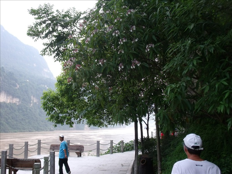 Ϫ2010.08.31 090.jpg